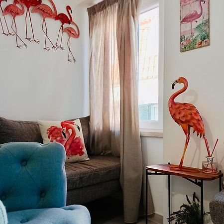 塞辛布拉Flamingo公寓 外观 照片